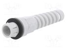 Cable gland; IP68; polyamide; light grey; push-in LAPP