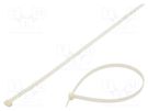 Cable tie; L: 580mm; W: 12.5mm; polyamide; 1112N; natural FIX&FASTEN