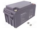 Re-battery: acid-lead; 12V; 65Ah; AGM; maintenance-free QOLTEC