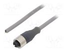 Connection lead; M12; PIN: 4; straight; 0.6m; plug; 250VAC; 2.5A ALPHA WIRE