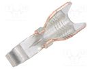 Contact; hermaphrodite; tinned; 2.1÷6mm2; 14AWG÷10AWG; crimped ANDERSON POWER PRODUCTS