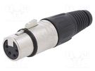 Plug; XLR; female; PIN: 4; straight; for cable; soldering; silver CLIFF