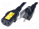Cable; 3x18AWG; IEC C13 female,NEMA 5-15 (B) plug; PVC; 5m; black SCHURTER