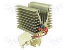Heater; heatsink; 60W; 230V; for DIN rail mounting; 62x95x100mm SELFA
