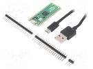 Dev.kit: Raspberry; USB B micro; 264kBSRAM,2048kBFLASH RASPBERRY PI