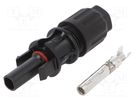 Connector: solar; female; 4÷6mm2; with contacts; crimped; plug CABUR