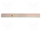 Ruler; ESD; 300mm; ABS; <0.1MΩ EUROSTAT GROUP