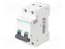 Circuit breaker; 500VDC; Inom: 2A; Poles: 2; for DIN rail mounting SCHNEIDER ELECTRIC