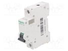 Circuit breaker; 500VDC; Inom: 6A; Poles: 1; for DIN rail mounting SCHNEIDER ELECTRIC