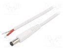 Cable; 1x1mm2; wires,DC 5,5/1,7 plug; straight; white; 1.5m WEST POL