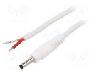 Cable; 1x1mm2; wires,DC 3,5/1,3 plug; straight; white; 0.5m WEST POL