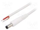 Cable; 1x1mm2; wires,DC 5,5/2,5 plug; straight; white; 1.5m WEST POL