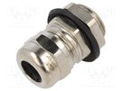 Cable gland; NPT1/2"; IP66,IP68; brass; 10pcs. ALPHA WIRE