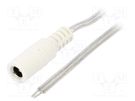 Cable; 2x0.5mm2; wires,DC 5,5/2,1 socket; straight; transparent BQ CABLE