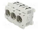 Fuse holder; protection switchgear; D01; for DIN rail mounting MERSEN