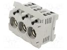 Fuse holder; protection switchgear; D02; for DIN rail mounting MERSEN