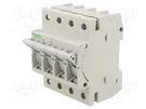 Fuse disconnector; D01; for DIN rail mounting; 10A; Poles: 3+N SCHNEIDER ELECTRIC