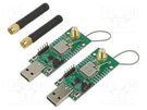 Dev.kit: LoRA; UART,USB; SMA,USB; prototype board RADIOCONTROLLI
