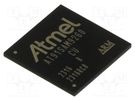 IC: ARM microprocessor; ARM926; 1.65÷1.95VDC; SMD; LFBGA217; PWM: 6 MICROCHIP TECHNOLOGY