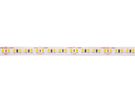 LED strip, 24V, 9.6W/m, non-waterproof, cold white, 168LED/m, 115lm/W, AKTO