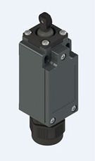 Позиционный переключатель с поршнем, наружным уплотнением и роликом FM 5A4-H6M2K23, Pizzato