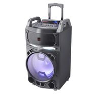 Party Trolley Speaker 600W (80W RMS) with Karaoke & Disco Lightning