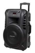 Portable Stand-Alone PA System 12" 40W with 2 Wireless UHF Handheld Microphones & FM Radio