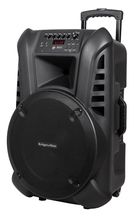Portable Stand-Alone PA System 15" 60W with 2 Wireless UHF Handheld Microphones & FM Radio