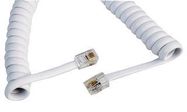 COILED CABLE 4P4C-4P4C WHITE 3M