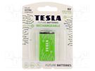 Re-battery: Ni-MH; 6F22; 8.4V; 250mAh; blister; 1pcs. TESLA BATTERIES