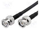 Cable; 50Ω; 0.5m; BNC plug,both sides; black AMPHENOL