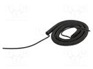 Wire: coiled; 3x0.22mm2; unshielded; PUR; black; 300V; 1m; 4m SIMECH