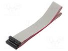 Ribbon cable with IDC connectors; Cable ph: 1mm; 0.6m; 26x28AWG CONNFLY