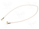 Cable; 50Ω; 0.61m; SMA male,both sides; shielded; transparent MUELLER ELECTRIC