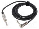 Cable; Jack 6,3mm 2pin plug,Jack 6.3mm 2pin angled plug; 3m TASKER