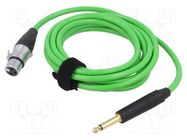 Cable; Jack 6,3mm 2pin plug,XLR female 3pin; 6m; green; 0.25mm2 TASKER