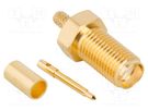 Plug; RP-SMA; male,reverse; straight; 50Ω; soldering,crimped; PTFE AMPHENOL RF