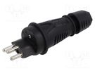 Connector: AC supply; male; plug; 2P+PE; 250VAC; 16A; black; PIN: 3 PCE