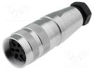 Connector: M16; plug; female; soldering; for cable; PIN: 6; 5A; 300V AMPHENOL