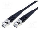 Cable; 50Ω; 1m; BNC plug,both sides; black BQ CABLE