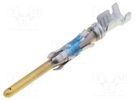 Contact; male; 16; brass; gold-plated; 0.8÷1.4mm2; 18AWG÷16AWG TE Connectivity