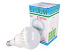 Lemputė LED E27 230V 30W F100 2700lm neutraliai balta, LEDOM