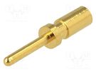 Contact; male; copper alloy; gold-plated; 24AWG÷20AWG; crimped BULGIN