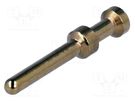 Contact; male; iron; gold-plated; 0.5mm2; Han E®; crimped HARTING