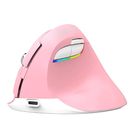 Wireless Vertical Mouse Delux M618Mini DB BT+2.4G 2400DPI (pink), Delux