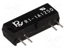 Relay: reed switch; SPST-NO; Ucoil: 12VDC; 1A; max.250VDC; 10VA Recoy/RAYEX ELECTRONICS