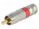 Plug; RCA; male; compression; Cable: RG59; 75Ω; 3GHz PCT