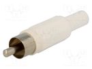Plug; RCA; male; with strain relief; straight; soldering; white 