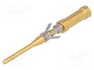 Contact; male; brass; gold-plated; 26AWG÷22AWG; soldering BULGIN