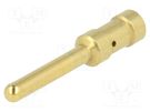 Contact; male; copper alloy; gold-plated; 4mm2; 12AWG; Han E® HMC HARTING